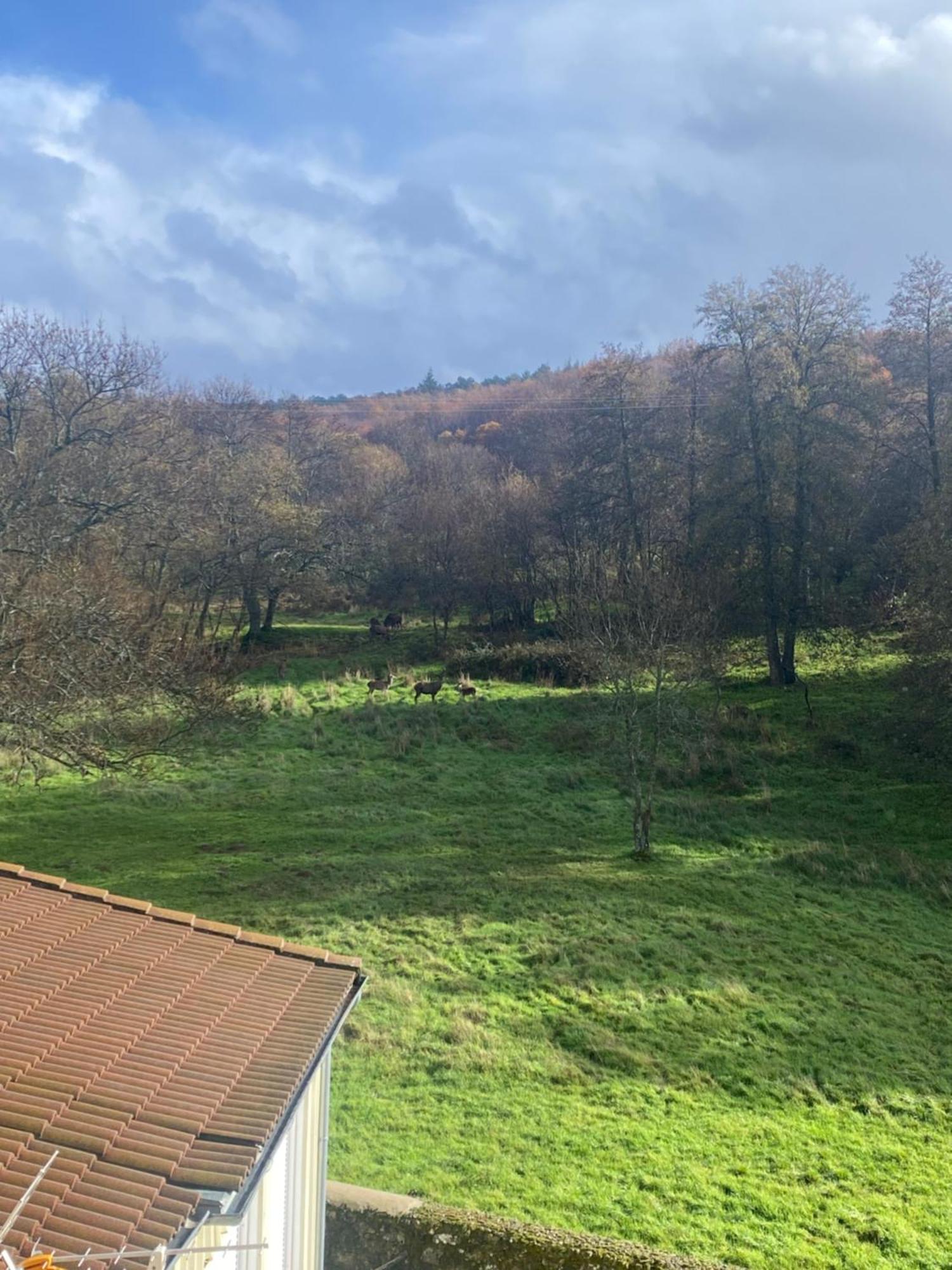 Casa Del Bosque Lejlighed Béjar Eksteriør billede